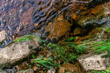 Kırsal kesimde akan sular