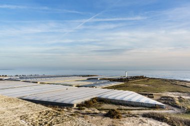 İspanyol manzarası ve birçok plastik serası olan deniz manzarası. Almerya bölgesi, Endülüs İspanya.