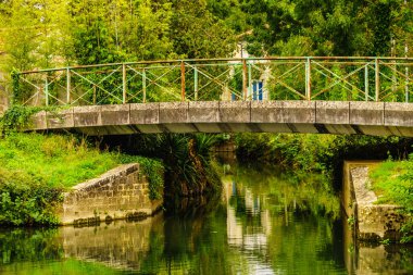 Fransa 'daki Coulon kasabası. Eski taş köprüsü olan nehir manzaralı. Deux Sevres, Yeni Aquitaine bölgesi. Turizm yeri