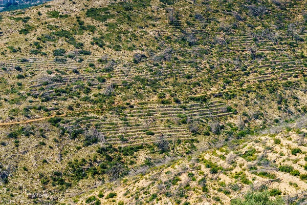 Traditionele Oude Plantage Heuvels Spaans Natuurlandschap — Stockfoto