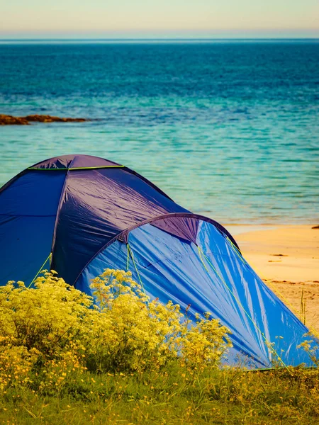 Zelt Strand Sommer Zelten Der Küste Des Ozeans Lofoten Archipel — Stockfoto