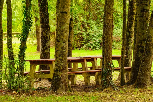 Stół Piknikowy Ławki Zielonym Parku Leśnym — Zdjęcie stockowe