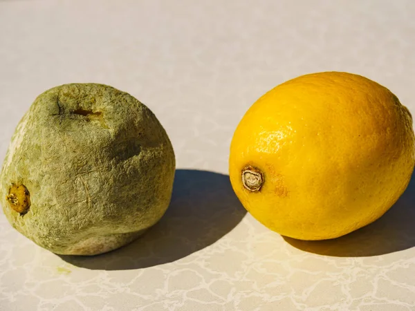 Gezonde Groene Beschimmelde Citrusvruchten Rotte Schimmels Voedsel — Stockfoto