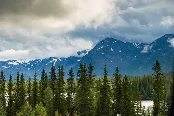Norveç Manzarası Karla Kaplı Yüksek Dağlar Fiyortlarla — Stok fotoğraf