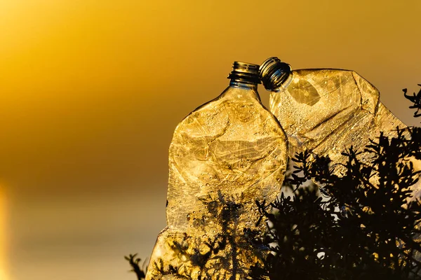Plast Vattenflaska Övergiven Stranden Stranden Soluppgång Färg Landskap Miljöförstöring Globala — Stockfoto