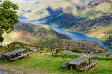 Douro river landscape. Border between Portugal and Spain. National Parks. View from Penedo Durao lookout.