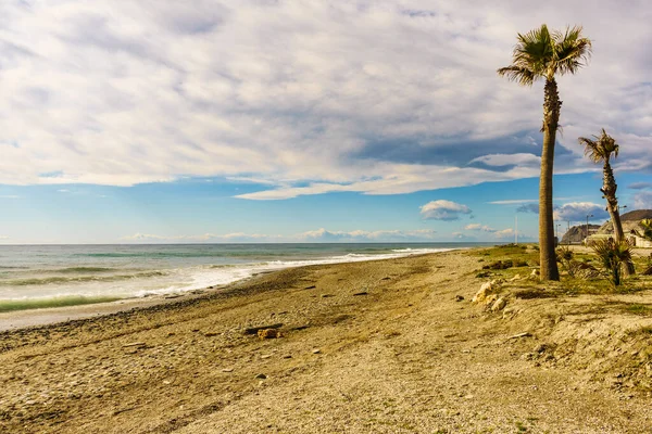 Deniz manzarası. Palmiye ağaçlı Carchuna kumlu plajı. Costa tropikal, Granada vilayeti. Endülüs İspanya.