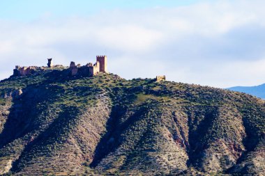 Tepedeki Nazari Şatosu Arap Kalesi, Tabernas Çölü, Endülüs, İspanya.