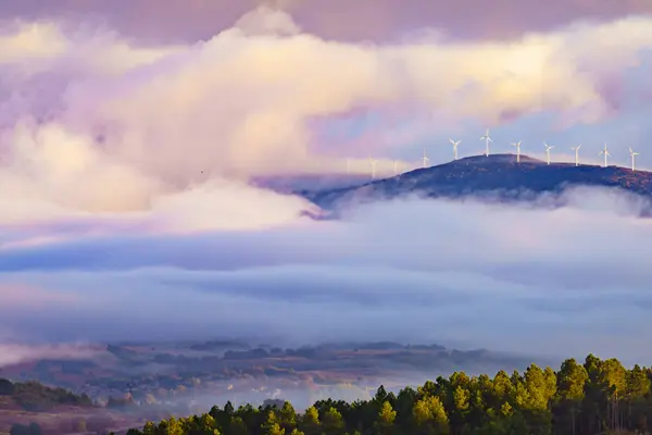 Morning View Fog Valley Wind Turbines Farm Hill Covered Clouds — Fotografia de Stock