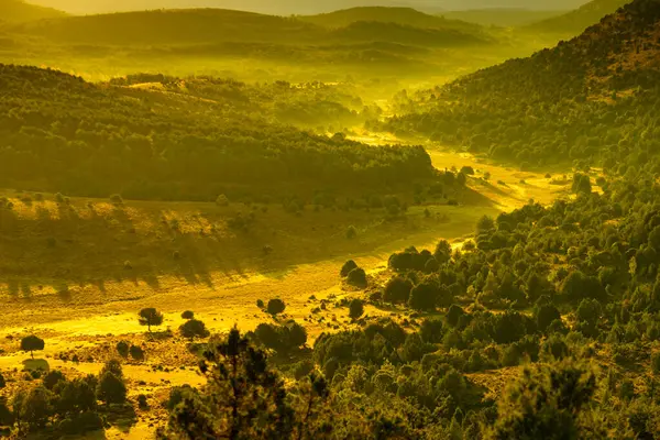 Green Mountain Landscape Morning Light Hilly Land Burgos Spain — Fotografia de Stock