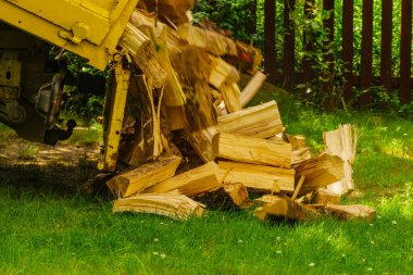 Kamyon odun indiriyor, odun atıyor. Kış için hazırlık.