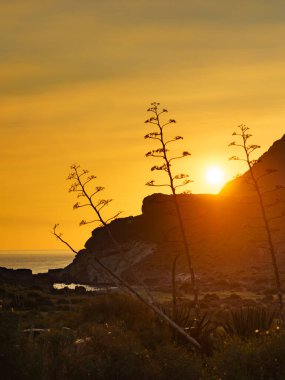 Gün batımında kıyı manzarası. Cabo de Gata Doğal Parkı, Endülüs İspanya.
