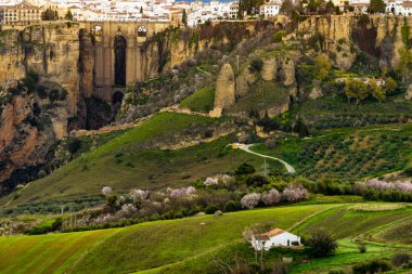 Ronda town and valley. View from distance on cliff with bridge. Tourist attraction in Andalusia, Spain. clipart