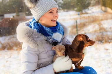 Genç bir kadın dışarıda karda eğleniyor. Dişi, soğuk kış gününde küçük safkan köpekleriyle oynuyor..