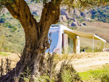 İspanyol doğa manzarası. Tepedeki yaşlı zeytin ağacı ve uzakta kamp yapan karavan araçları. Guadalhorce Rezervuarı, Endülüs İspanya 'nın Malaga ili.