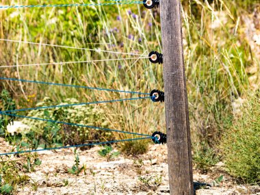 Yüksek voltajlı güvenlik çiti. Elektrikli eskrim.