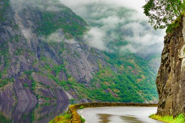 Norveç manzarası. Norveç Hordaland 'da Eidfjorden boyunca eski bir yol. Sisli yağmurlu hava.