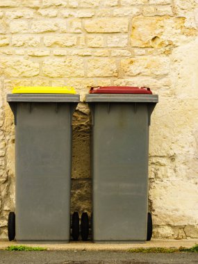 Çöp kutusu ya da çöp kutusu, plastik geri dönüşüm konteynırı.