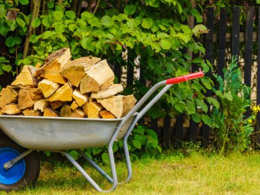 El arabasında yakacak odun. Kış için hazırlık.