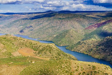 Douro river landscape. Border between Portugal and Spain. National Parks. View from Penedo Durao lookout.