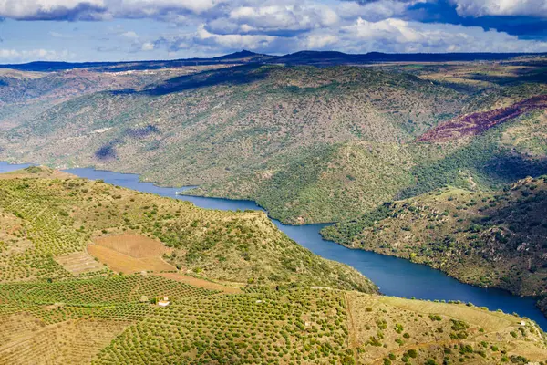 Douro river landscape. Border between Portugal and Spain. National Parks. View from Penedo Durao lookout.