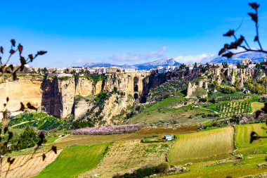 Ronda town and green valley. View from distance on cliff with bridge. Tourist destination in Andalusia, Spain.