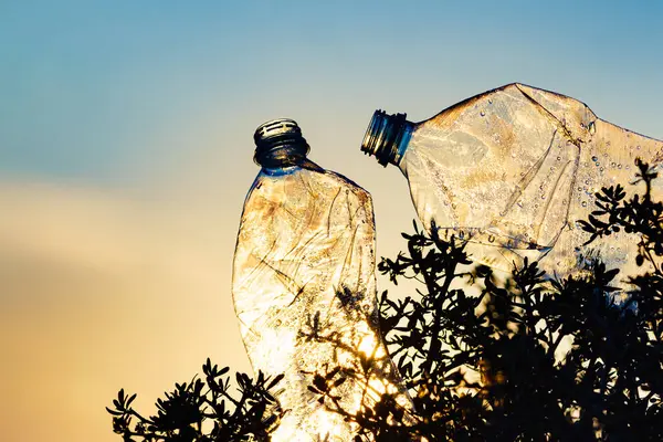 塑料水瓶被遗弃在海滨 日出彩色景观 环境污染全球生态问题 地球生态 免版税图库照片