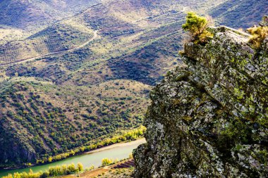 Douro river landscape. Border between Portugal and Spain. National Parks. View from Penedo Durao lookout. clipart