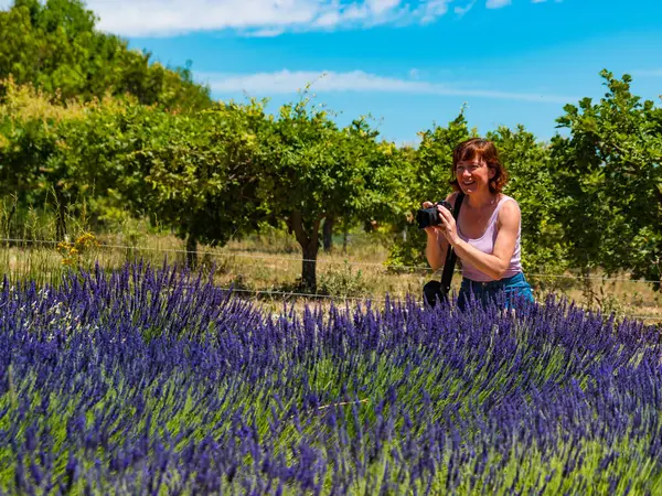 紫色のラベンダー畑を持つプロバンスの風景から旅行写真を撮るカメラを持つ熟女観光客の女性 フランス ストック画像