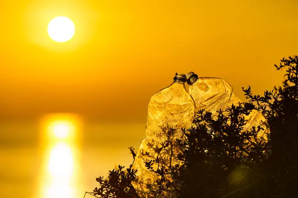 塑料水瓶被遗弃在海滨 日出彩色景观 环境污染全球生态问题 地球生态 免版税图库图片