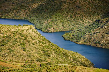 Douro river landscape. Border between Portugal and Spain. National Parks. View from Penedo Durao lookout.