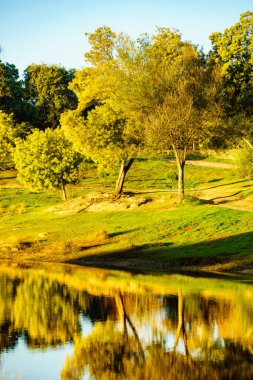 Sonbahar doğası, göl manzarası. Povoa e Meadas Barajı Castelo de Vide, Alentejo Portekiz.