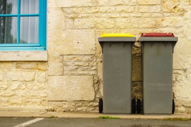 Çöp kutusu ya da çöp kutusu, plastik geri dönüşüm konteynırı.