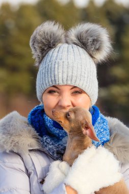 Genç bir kadın dışarıda karda eğleniyor. Dişi, soğuk kış gününde safkan köpek yavrusuyla oynuyor..