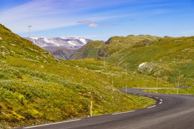 Norveç dağları boyunca uzanan direklerle dolu bir yol. Yeşil manzara. Norveç.