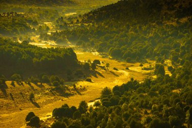 Sabah ışığında yeşil dağ manzarası, Burgos İspanya 'da tepe..