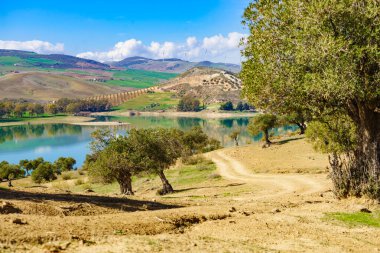 Spanish nature landscape. Embalse del Guadalhorce and surrounding countryside with olive trees. Ardales Reservoir, Malaga Andalusia, Spain clipart