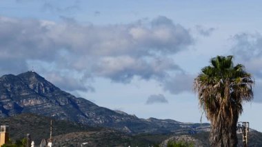Uzakta palmiye ağaçları ve dağlar var. İspanyol manzarası, valencia.