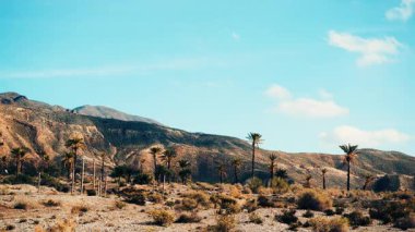 Sierra Alhamilla Dağları 'ndaki palmiye ağaçlarıyla kaplı manzara, İspanya. Zaman aşımı
