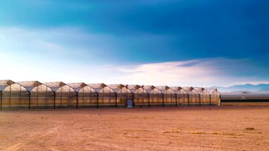Büyük ticari cam seraları olan İspanyol sahili manzarası. Endüstriyel tarım. Murcia bölgesi, İspanya.