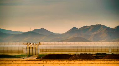 Büyük ticari cam seralar ve gün batımı ışıklarıyla İspanyol sahil manzarası. Endüstriyel tarım. Murcia bölgesi, İspanya.