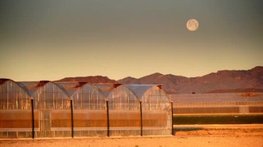 İspanya kıyı manzarası, gökyüzünde ay ve sabah ışığında büyük ticari cam seralar. Endüstriyel tarım. Murcia bölgesi, İspanya.