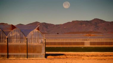İspanya kıyı manzarası, gökyüzünde ay ve sabah ışığında büyük ticari cam seralar. Endüstriyel tarım. Murcia bölgesi, İspanya.