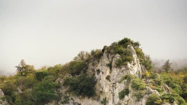 Bulutlu dağlar ve kayaların üzerinde uçan kuş. Agurain, Bask ülkesi, İspanya.