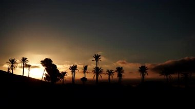 Sierra Alhamilla Dağları 'ndaki palmiye ağaçlarıyla kaplı manzara, İspanya. Sabahın ilk ışıklarıyla. Zaman aşımı
