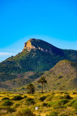 Akdeniz kıyısı manzarası, Murcia bölgesindeki İspanyol kıyı şeridi. Calblanque Bölge Parkı. Turist eğlencesi.