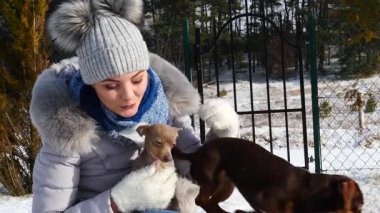 Genç kadın köpekleriyle oynuyor, pinscher ratter prazsky krysarik ve dachshund, kış havasında açık havada..