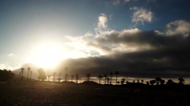 Sierra Alhamilla Dağları 'ndaki palmiye ağaçlarıyla kaplı manzara, İspanya. Sabah oldu, güneş doğdu. Zaman aşımı