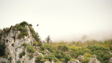 Bulutlu dağlar ve kayaların üzerinde uçan kuş. Agurain, Bask ülkesi, İspanya.