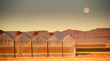 İspanya kıyı manzarası, gökyüzünde ay ve sabah ışığında büyük ticari cam seralar. Endüstriyel tarım. Murcia bölgesi, İspanya.